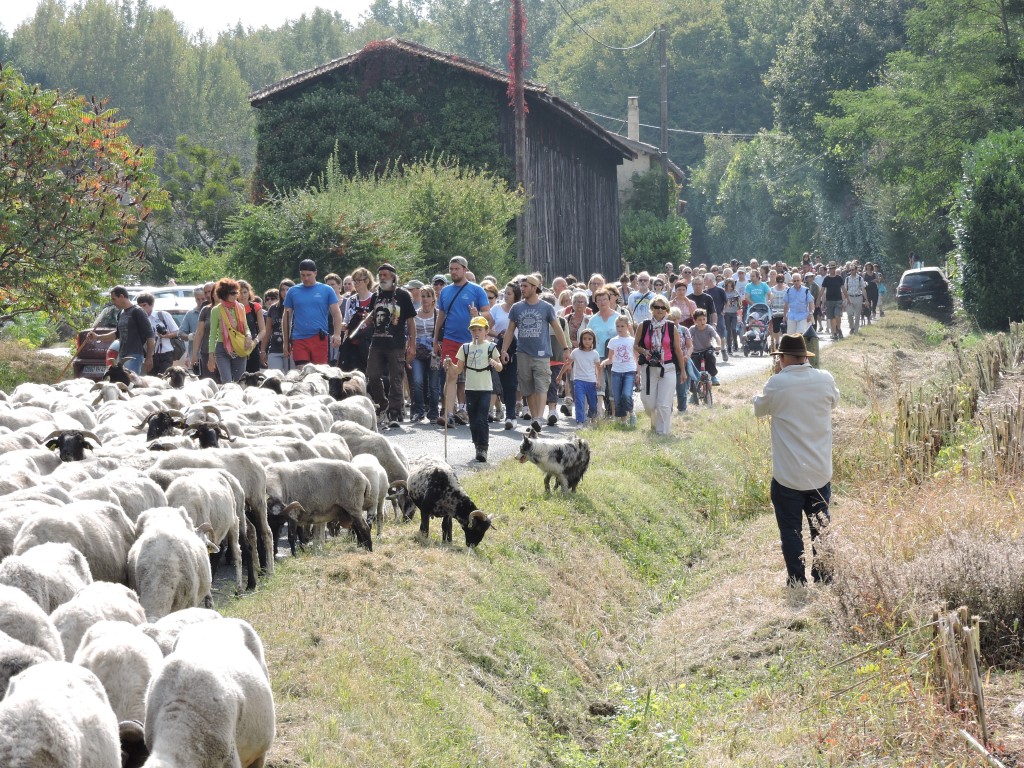 aillas (21) La Route de la Transhumance