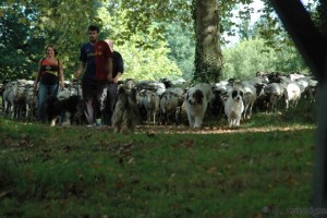 13 départ vers Douzevielle