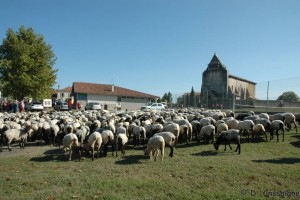 8 arrivée à Vielle Soubiran